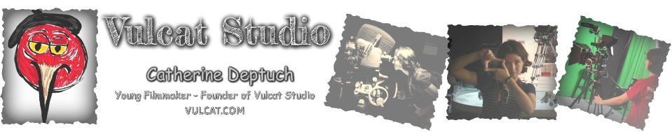 Vulcat Studio